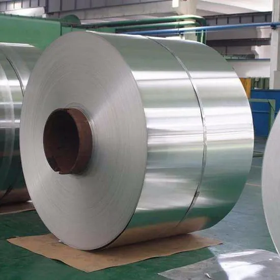 304 316 201 316lvm 430 420 Er308L 309S Bright/ Tinny/Spring/Welding Stainless Steel Wire